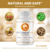 Phytomem One™ Official Website | Memory & Brain Support