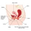 Woman performing a pelvic floor exercise