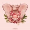 Woman performing a pelvic floor exercise